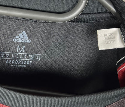 Bayern München 20-21 3e Lewandoski M