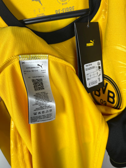 Dortmund 2025-2026 cup Adeyemi L